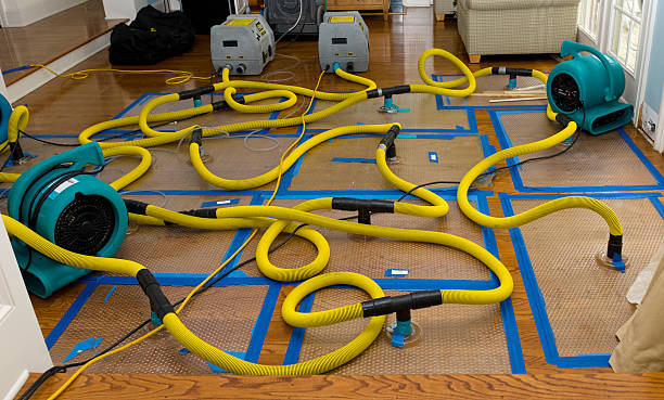 Professional Crawl Space Water Removal technician working in Roanoke, TX
